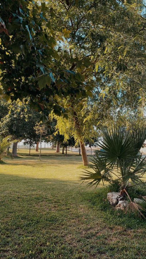El Encuentro Appartement Jedula Buitenkant foto